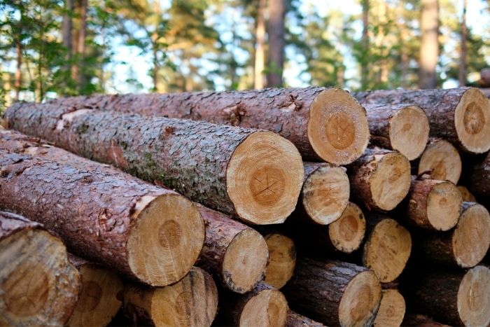 beneficios madera certificada fsc