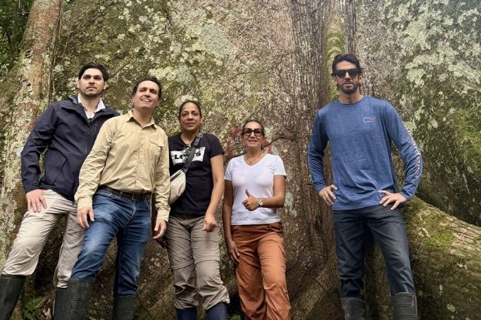 gestion forestal responsable industria maderera