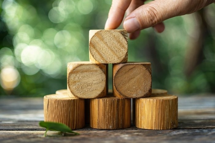 produccion sostenible madera