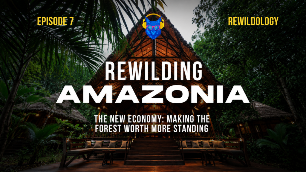the new economy drago bozovich