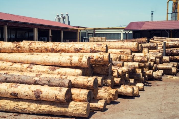 etapas procesamiento madera